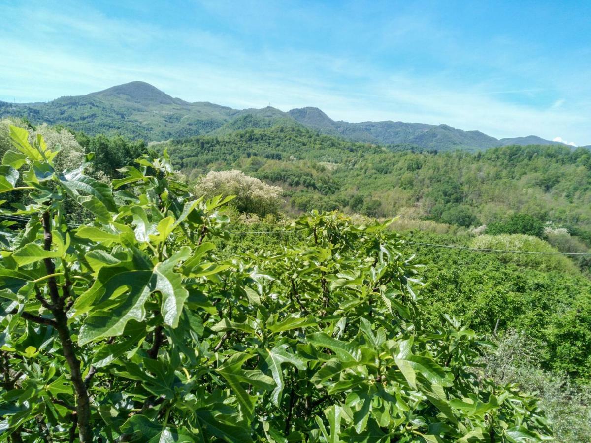 Il Melo Vila Fivizzano Exterior foto